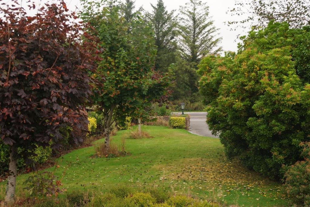 Gormans Country Home Killarney Exterior photo